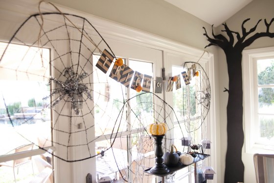 "trick or treat" spider webs, spiders